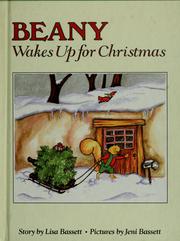 Cover of: Beany wakes up for Christmas by Lisa Bassett