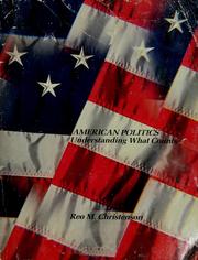 Cover of: American politics: understanding what counts