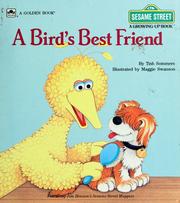 Cover of: A bird's best friend by Tish Sommers