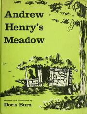 Cover of: Andrew Henry's meadow. by Doris Burn