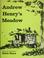 Cover of: Andrew Henry's meadow.