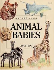 Cover of: Animal babies