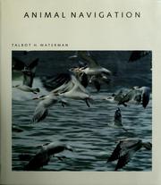 Cover of: Animal navigation