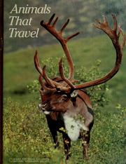 Cover of: Animals that travel by Jennifer C. Urquhart