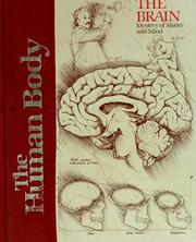 Cover of: The Brain by Jack Fincher