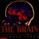 Cover of: The brain