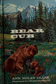 Cover of: Bear cub