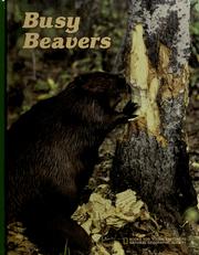 Cover of: Busy beavers by M. Barbara Brownell
