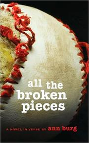 All the broken pieces by Ann E. Burg