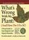 Cover of: What's Wrong With My Plant? (And How Do I Fix It?)