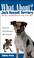 Cover of: What About Jack Russell Terriers