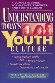 Cover of: Understanding today's youth culture