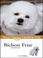 Cover of: Bichon Frise