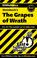 Cover of: CliffsNotes on Steinbeck's The Grapes of Wrath