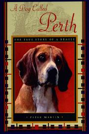 Cover of: A Dog Called Perth by Peter Martin