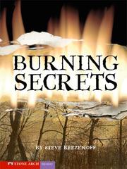 Cover of: Burning Secrets by Steve Brezenoff
