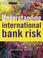 Cover of: Understanding International Bank Risk