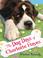 Cover of: The Dog Days of Charlotte Hayes