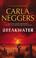 Cover of: Breakwater