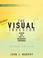 Cover of: The Visual Investor