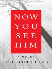Cover of: Now You See Him by Eli Gottlieb