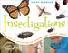 Cover of: Insectigations