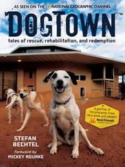 Cover of: DogTown by Stefan Bechtel