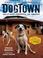 Cover of: DogTown