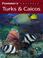 Cover of: Frommer's Portable Turks & Caicos
