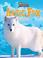 Cover of: Arctic Fox