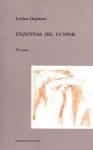 Cover of: Enzennas dil cunfar by Lothar Deplazes