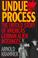 Cover of: Undue process