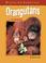 Cover of: Orangutans in Danger