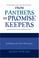 Cover of: From Panthers to Promise Keepers