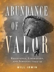 Cover of: Abundance of Valor