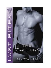 Front cover of The Gallery by Dakota Rebel