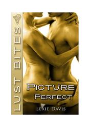 Cover of: Picture Perfect