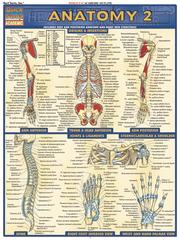 Cover of: QuickStudy - Anatomy 2: Deep and Posterior