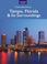 Cover of: Tampa Florida & Its Surroundings