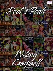 Front cover of Fool's Peak by Wilson Campbell