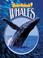 Cover of: Whales