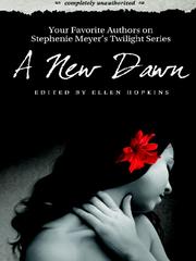 Cover of: A New Dawn: Your Favorite Authors on Stephenie Meyer's Twilight Series