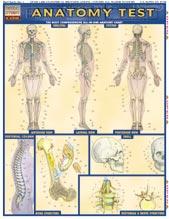 Cover of: QuickStudy - Anatomy Test