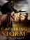 Cover of: The Gathering Storm