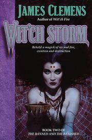 Cover of: Wit'ch Storm by 