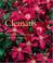 Cover of: Clematis