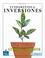 Cover of: Fundamentos De Inversiones