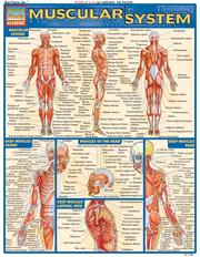 Cover of: QuickStudy - Muscular System