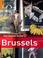 Cover of: The Rough Guide to Brussels