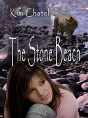 Cover of: The Stone Beach